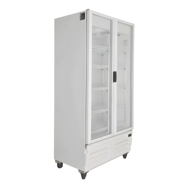 Productos Pagina Web - 2025-12-19T110022.441 HELADERA EXH.765 LTS INELRO 2 PUERTAS